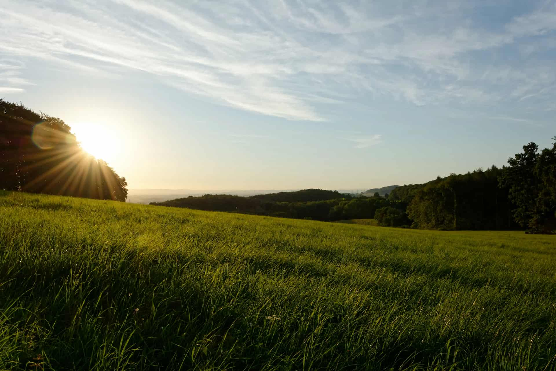 Feld mit Sonne