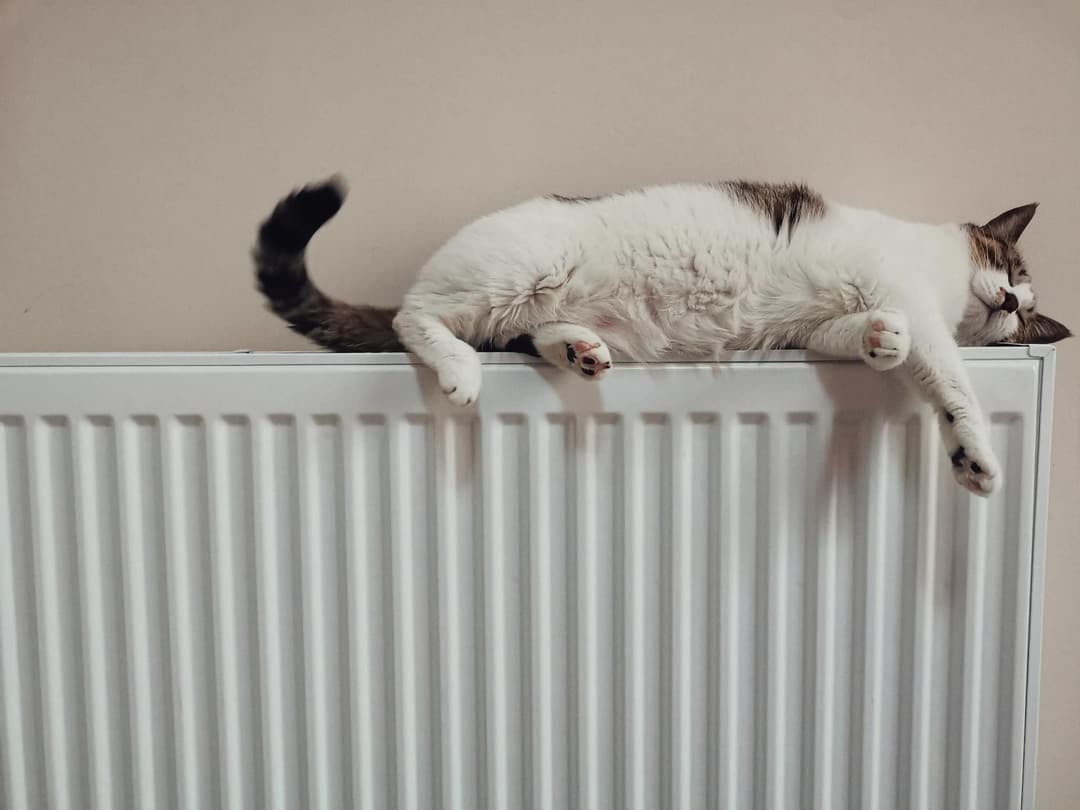Die erste eigene Wohnung Strom und Gas anmelden