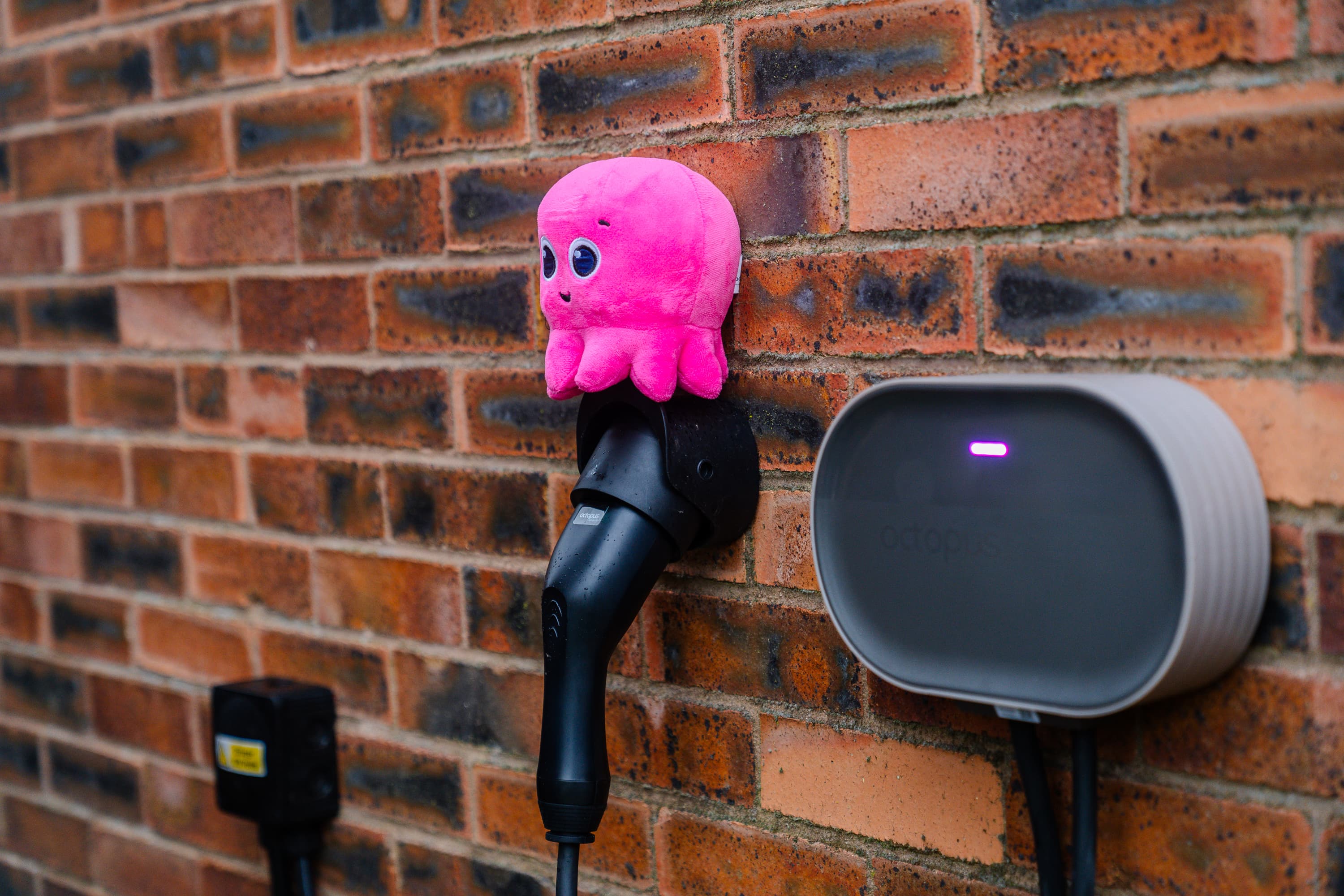 Ein pinker Octopus sitzt auf einer Wallbox
