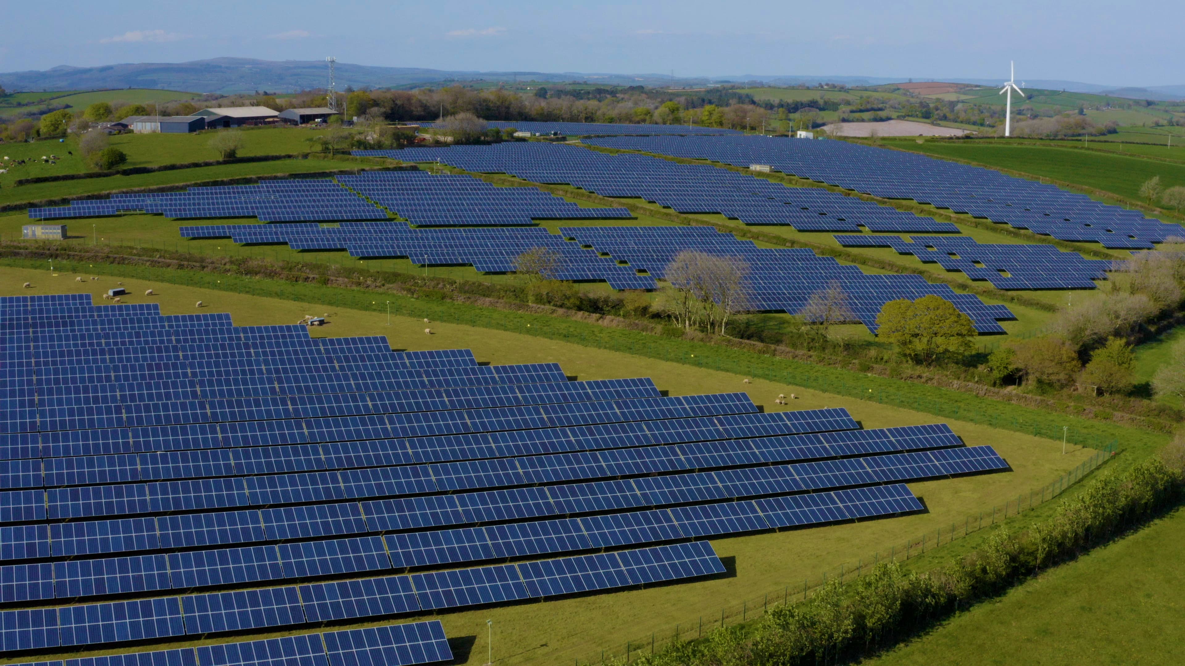 Feld mit vielen Solaranlagen