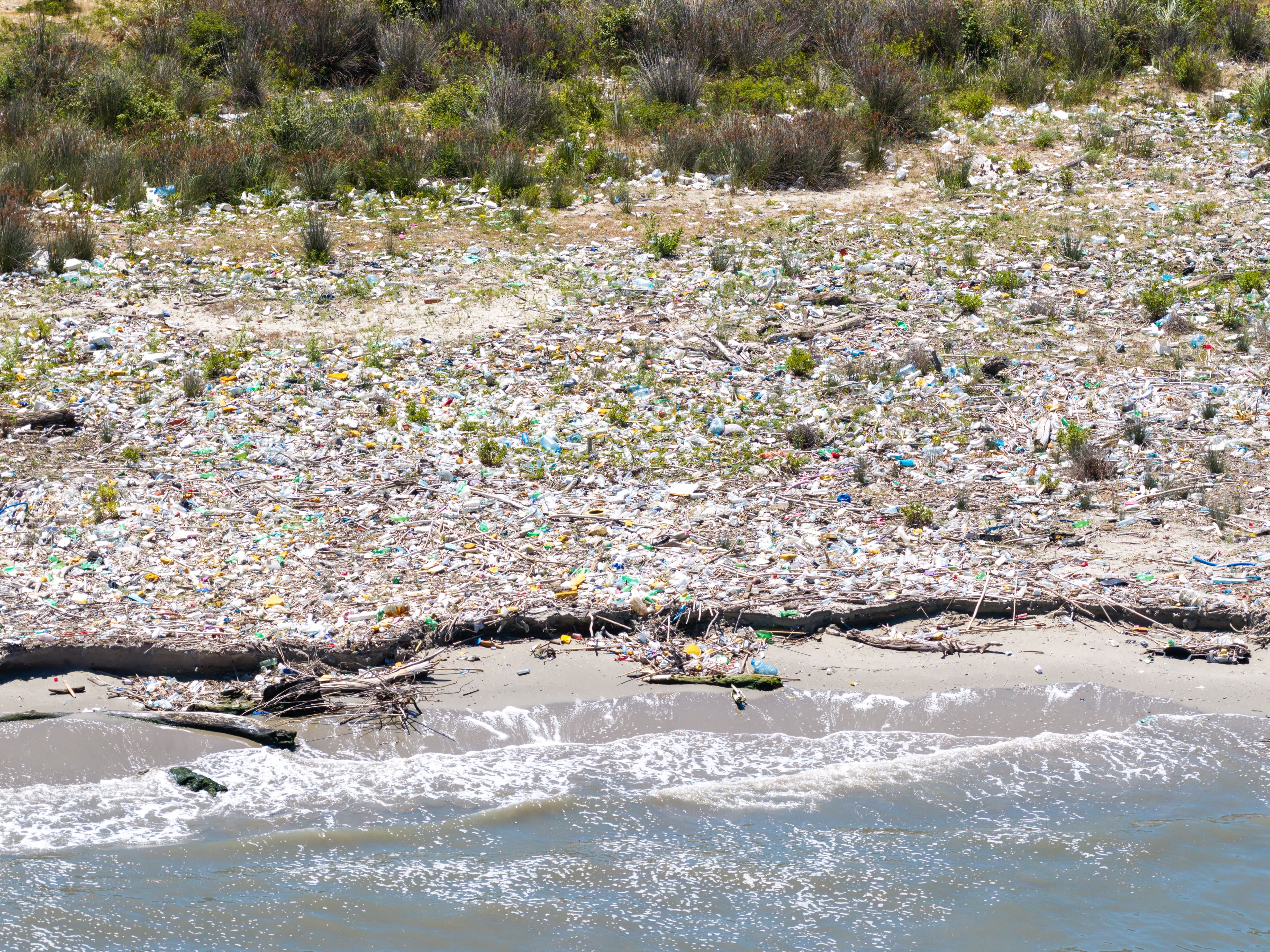 Ein mit Müll übersäter Strand mit verstreuten Abfällen, Plastikflaschen und natürlichem Treibholz am Ufer, der an eine Rasenfläche grenzt.