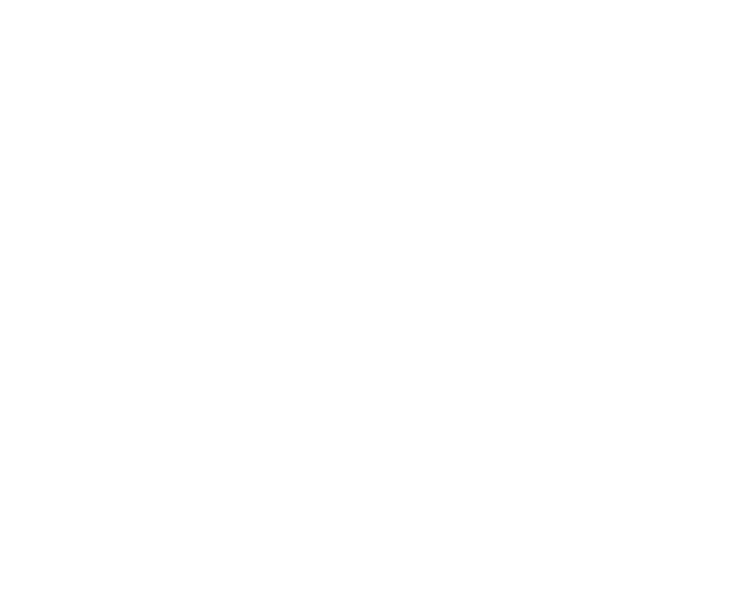 Energie Vision: Das Ökostromsiegel