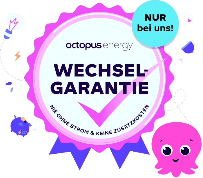 Octopus Energy Wechselgarantie - nie ohne Strom und keine Zusatzkosten beim Wechsel