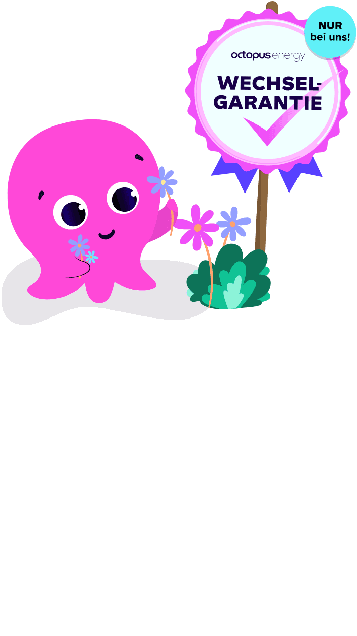 A pink cartoon octopus holding flowers stands beside a sign with a purple badge reading "WECHSEL-GARANTIE" and "octopus energy."