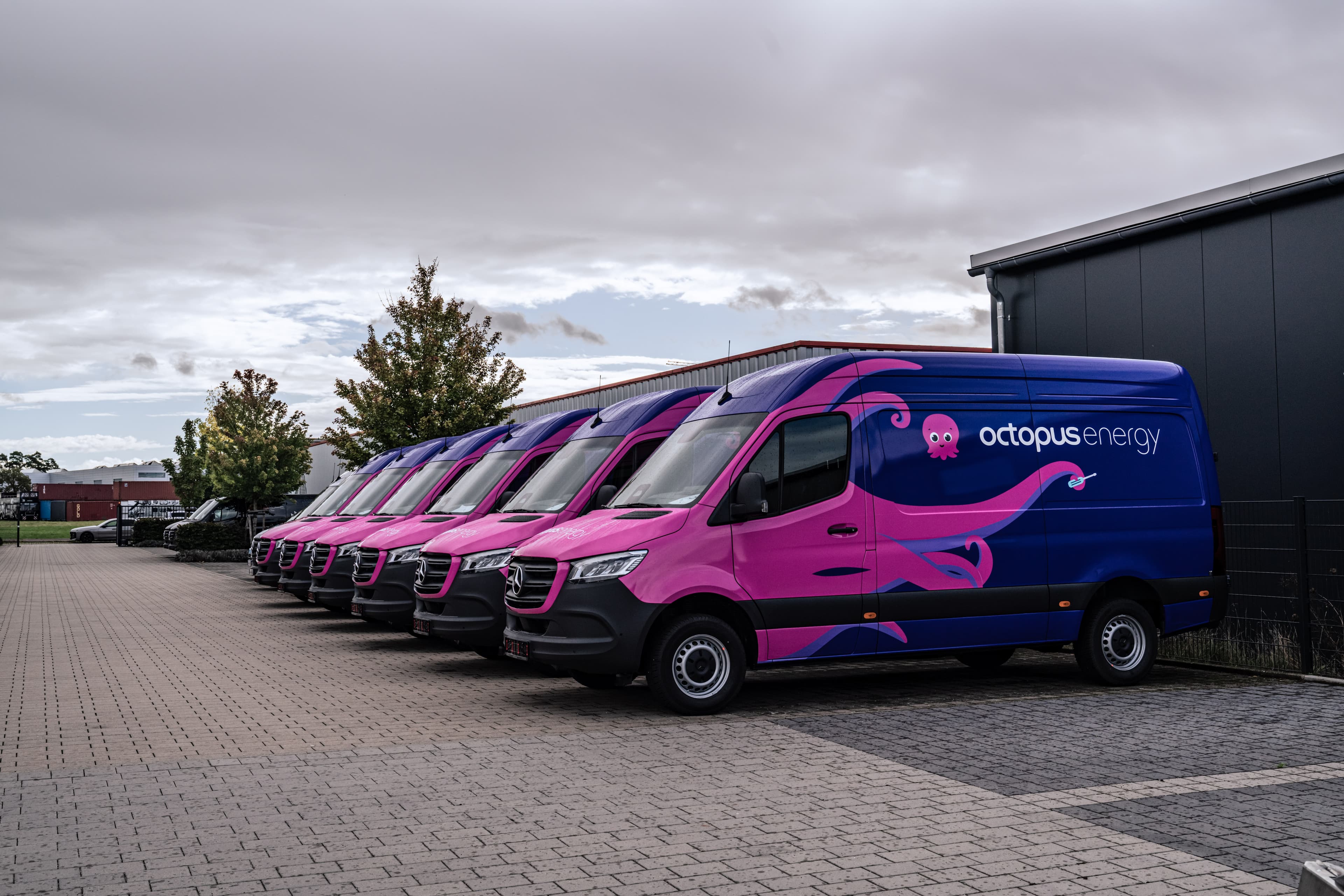 octopus energy services vans